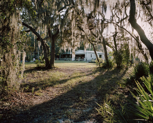 Long Shadows and Spanish Moss