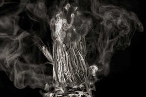 Wheat Sprout on Fire
