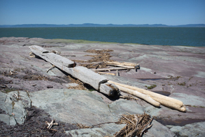 Remnant from a Draver's Raft