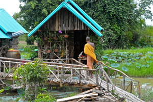 Shelter