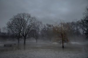 February Fog