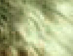 Biggest_causes_of_stress.jpg (lightgreen)