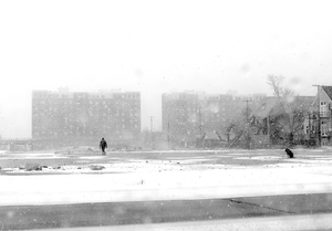 Chicago Winter