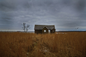 Abandonned House