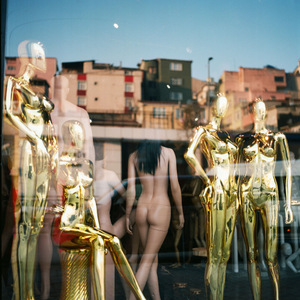 Colorful © Gigi Roccati