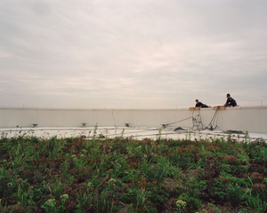 © Brad Temkin