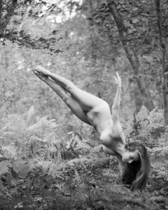 Performers 2