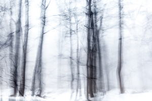 Snow #D125927