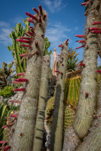 the exotic gardens of eze village
