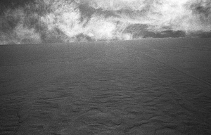 Dune #12
