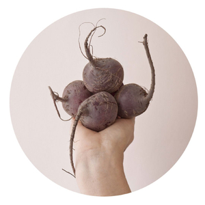 the handful of earth you are                      © Barbara Ciurej And Lindsay Lochman