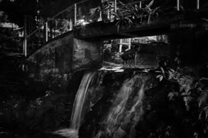 Night in the Philippines 06