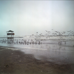 © Vsevolod Vlasenko
