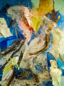 Abstract #10