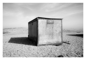 Dungeness #11
