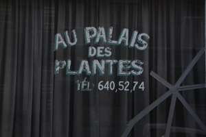 au palais des plantes