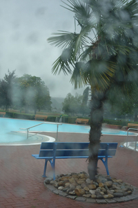 Summer rain