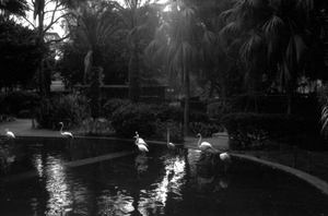 "Kowloon Park Hong Kong"
