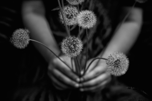 Wishing Weeds