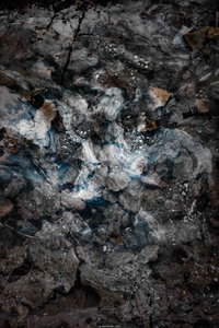 Icy leafs 2