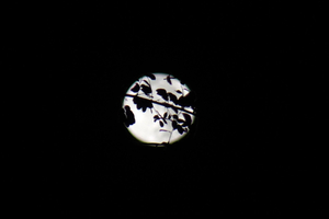 night journey III - thai moon