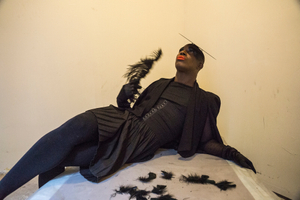 Early Ross with black feather