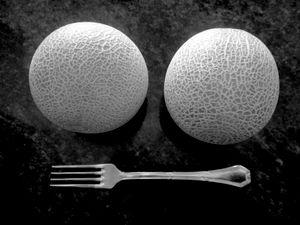 Melons