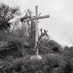 Somos hijos de Dios.