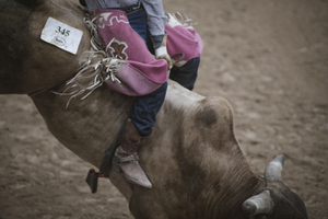 bull rider