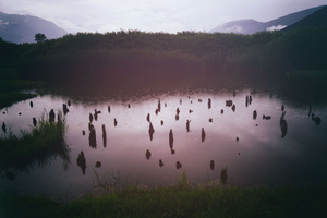 Ancient piles under the rain