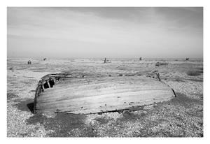 Dungeness #3a