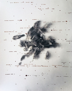 From the Series, Archetypal.  "Remains, Further."
