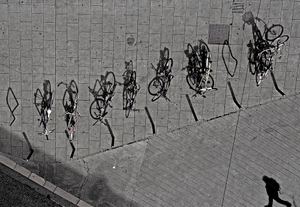 Bikes In A Row