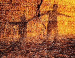 Shadows and lights