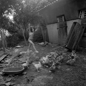 Kati's Ducks. Anhauze.