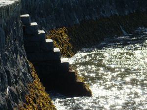 Ladder for mermaids