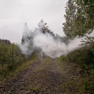 Work from series "Ilgas"