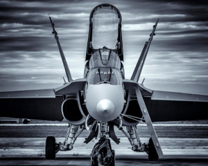 Angry Hornet
