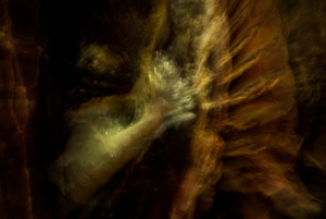 Slaughterhouse elegy  XXXVI.