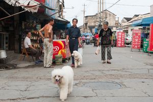 Lane life in Jiangnan091