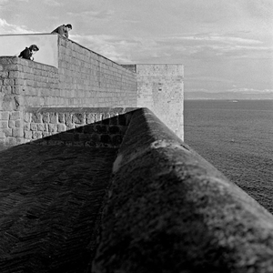 © Marcello Bertesi