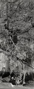 Wild Hunt