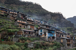 SWEET GOLD - The honey hunters of Nepal
