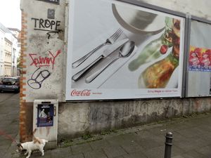 "COLOGNE DRIP MAGIC" or "Hans in Luck" "HANS IM GLÜCK"