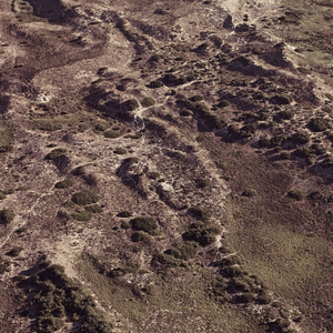 Terrain