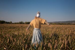 SCARECROWS, LAUREN BACALL
