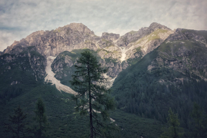 THE GLACIER (1/8)