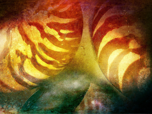 Nautilus
