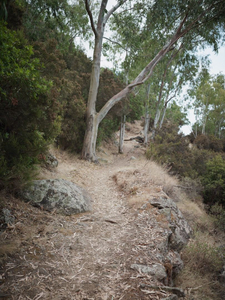 Quiet Isolation | Outland | Salina, Sicily | No. 5