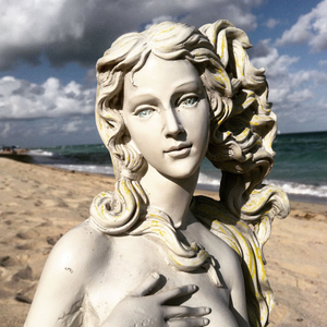 THE VENUS PROJECT